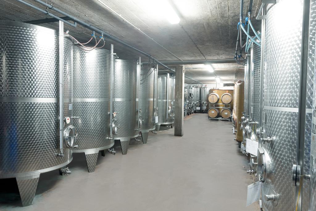 Pension Und Weingut Moselblick Brauneberg Exterior foto