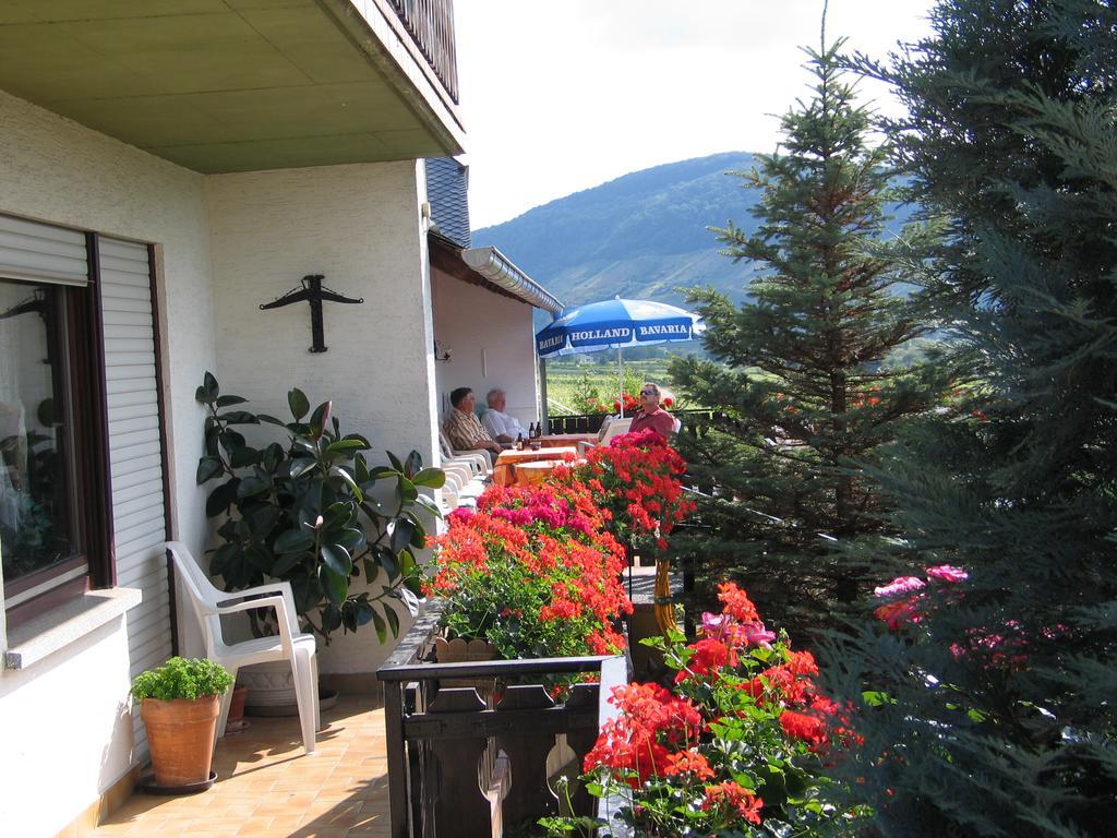 Pension Und Weingut Moselblick Brauneberg Exterior foto